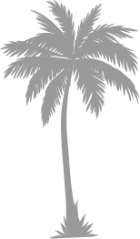 palmier du logo Le-petit-Chef